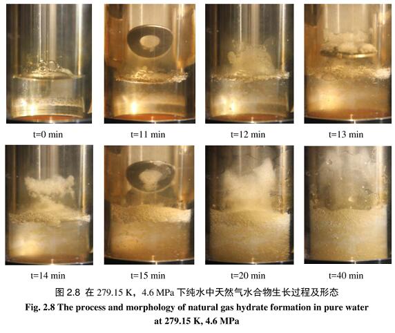 天然氣水合物反應(yīng)裝置(圖3)