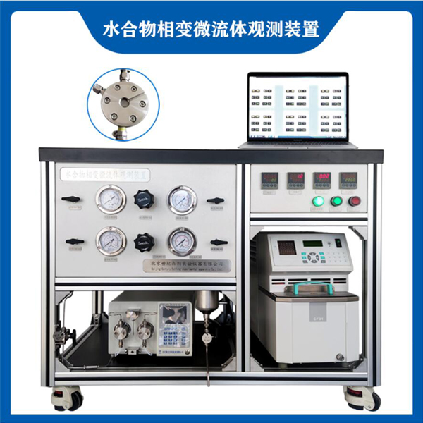 水合物相變微流體觀測系統(tǒng)(圖1)